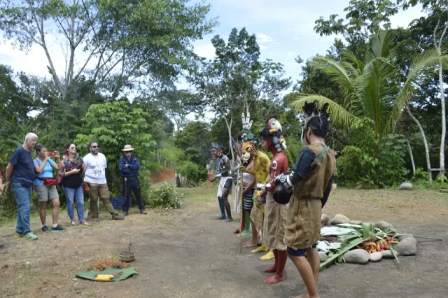 Actividad cultural 7